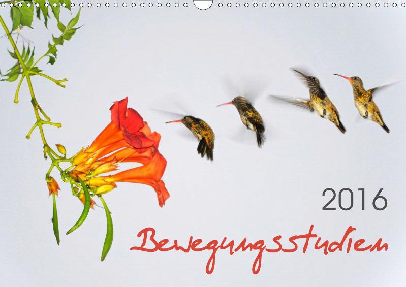 Kalender Bewegungsstudien 2016