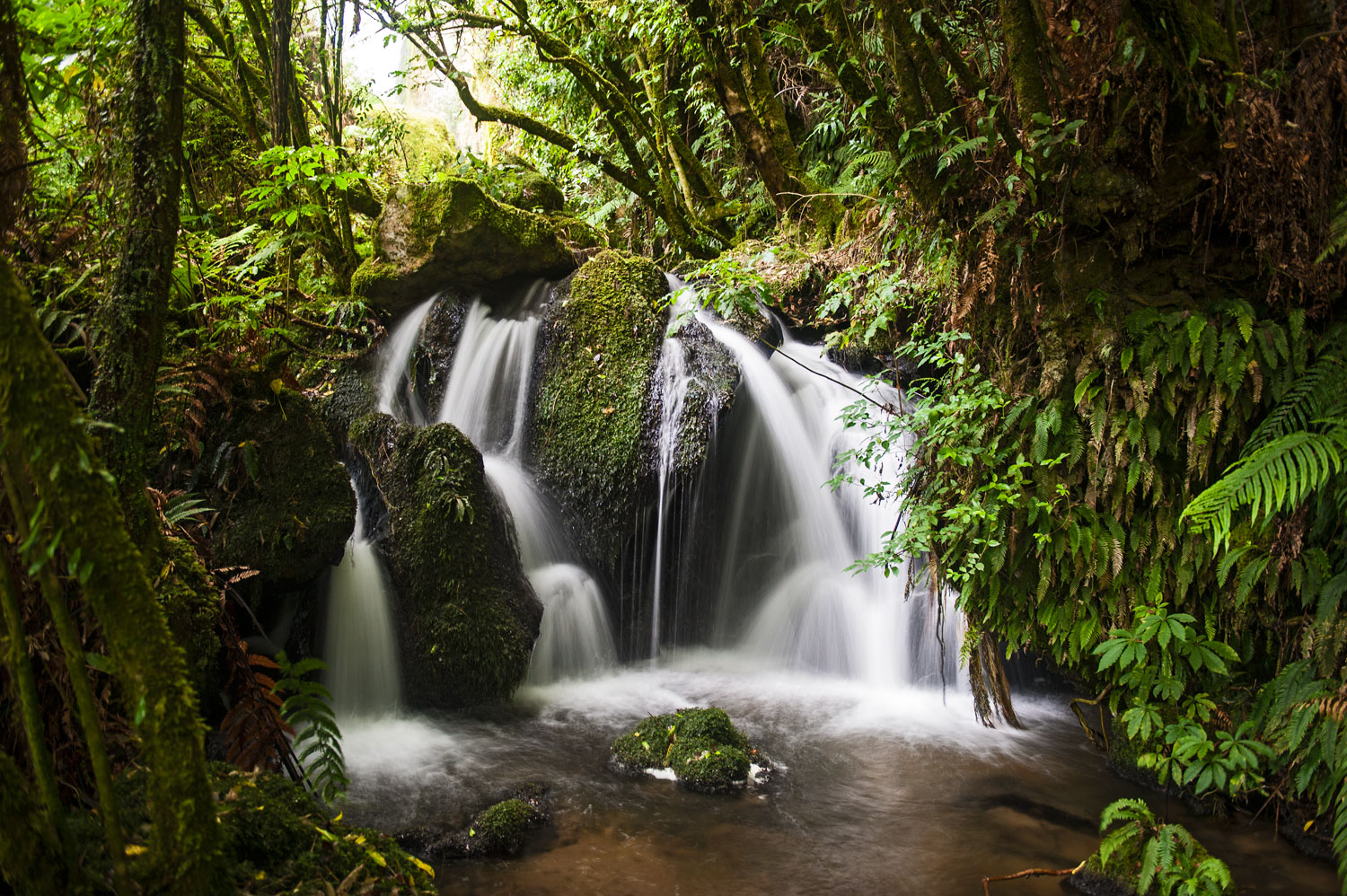 Buried Village Neuseeland