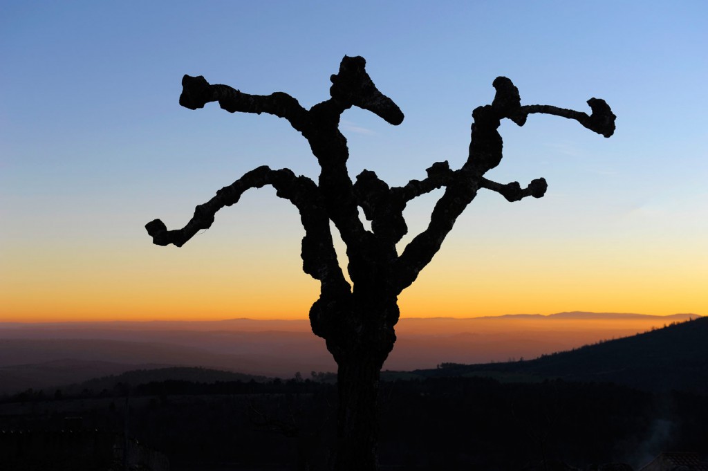 Abendstimmung Castillo Rodrigo