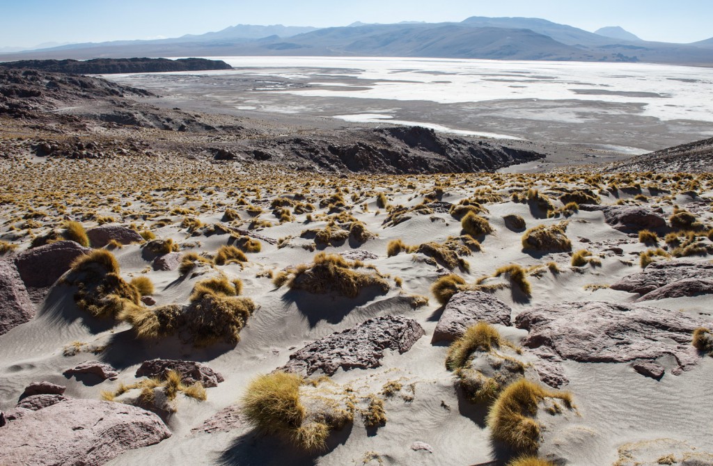 Salar de Chiguana Bolivien