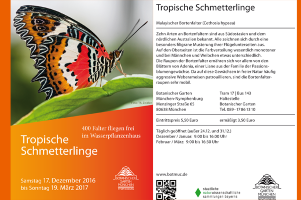 Neues Plakat “Tropische Schmetterlinge”