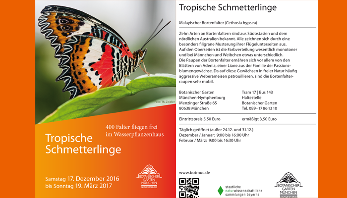 Plakat Ausstellung "Tropische Schmetterlinge"