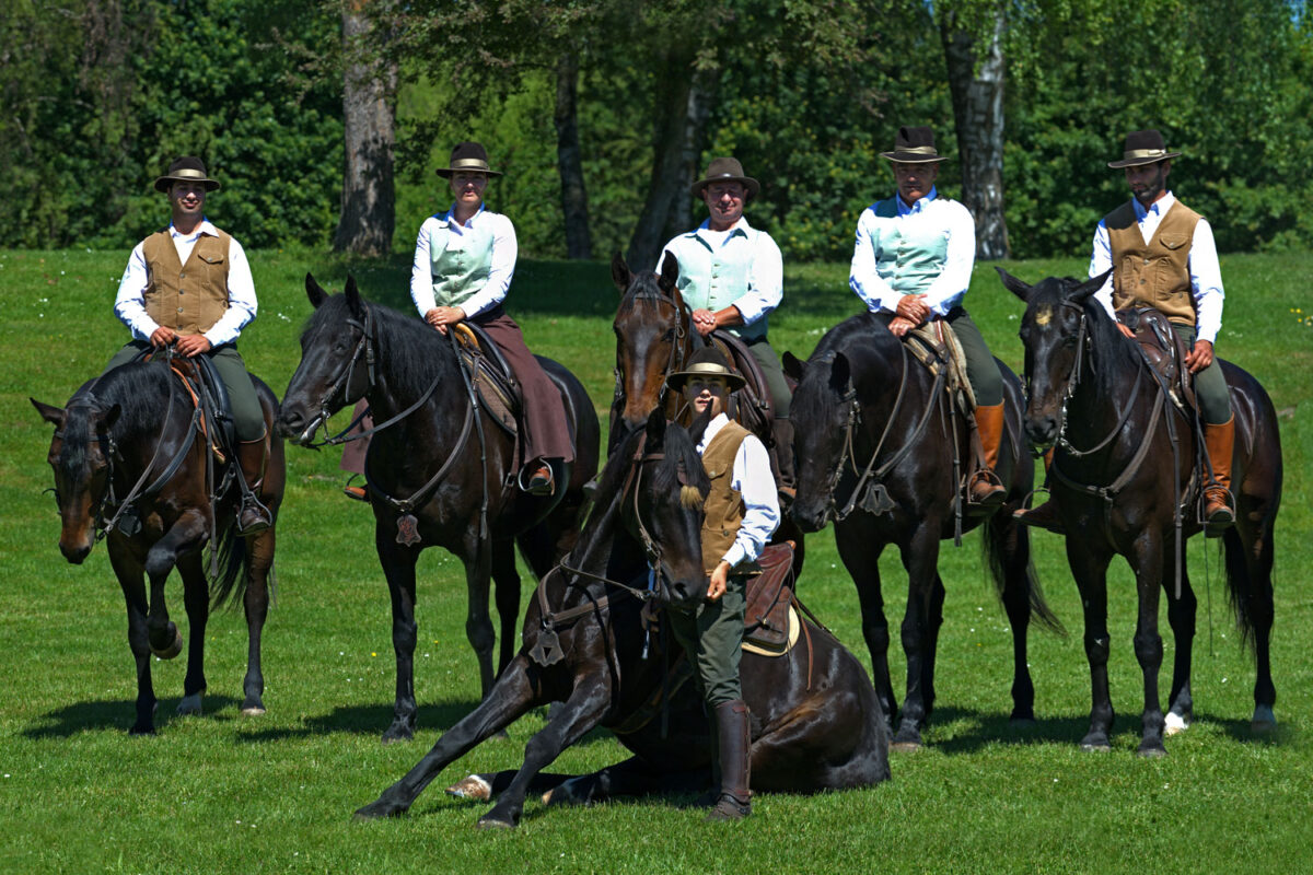 Maremmanos auf der Pferd International 2017 in Riem