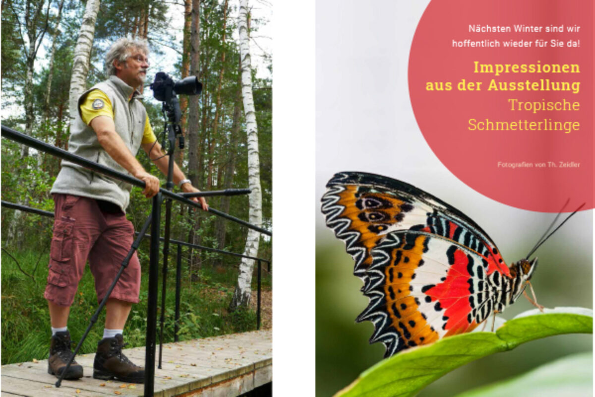 Fotoausstellung 2022 „Tropische Schmetterlinge“